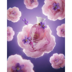 Petra Viola 100ml By Lattafa Perfumes