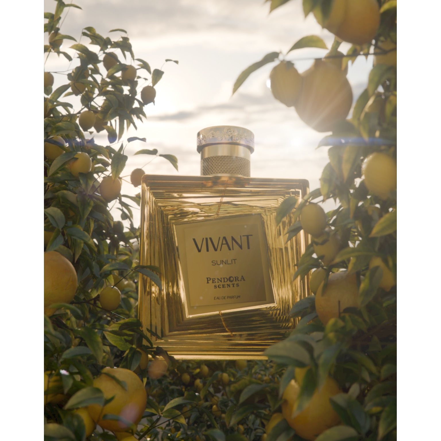 Vivant Sunlit 100ml By Pandora Scents