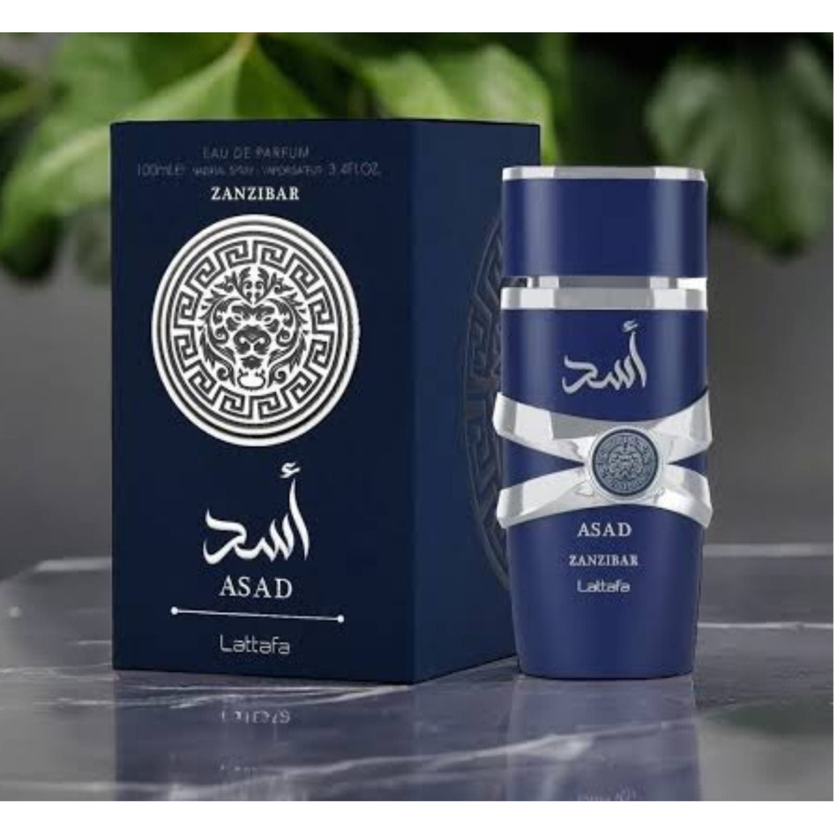 Asad Zanzibar By Lattafa 100ml Edp - Image 3