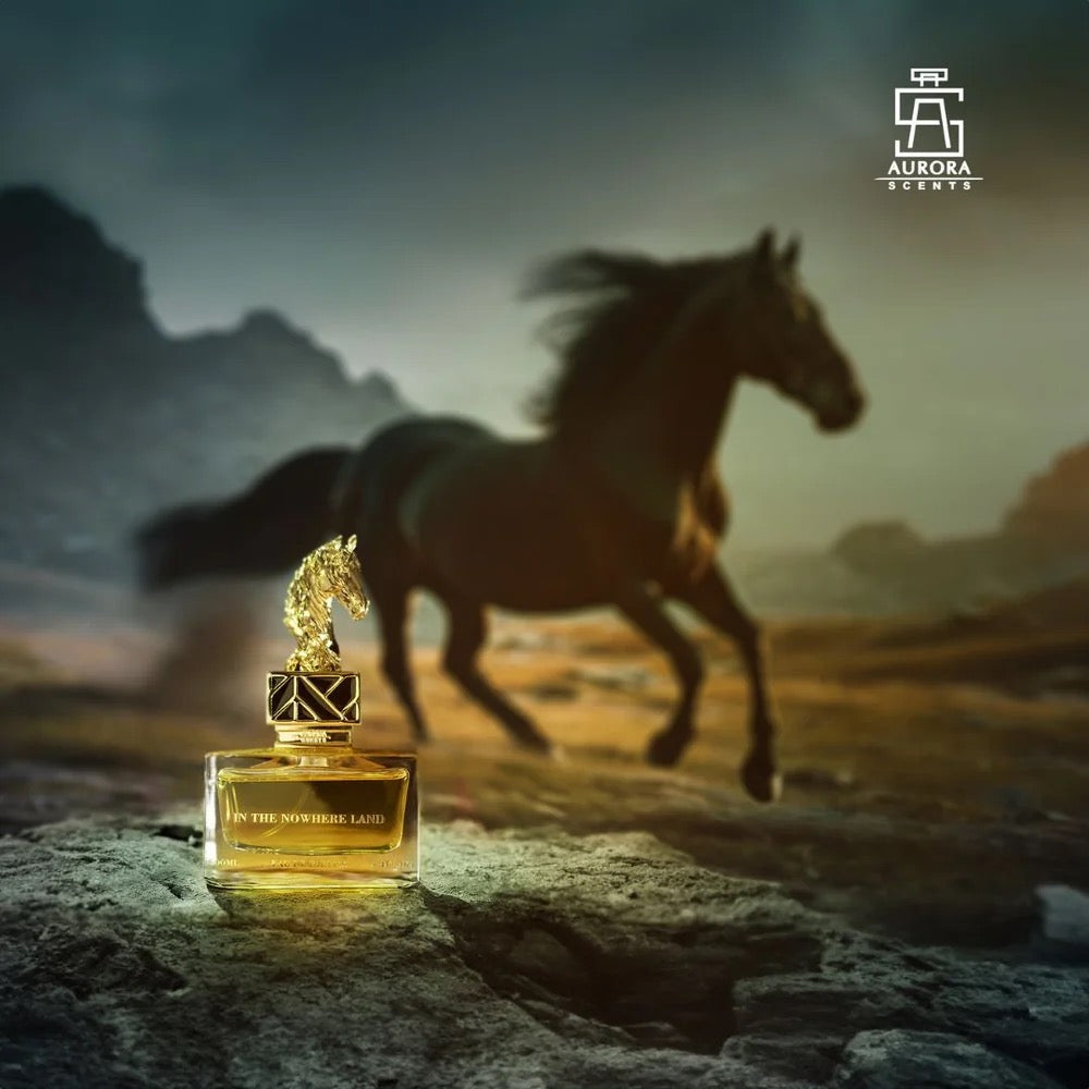In The Nowhere Land 100ml By Aurora Scents