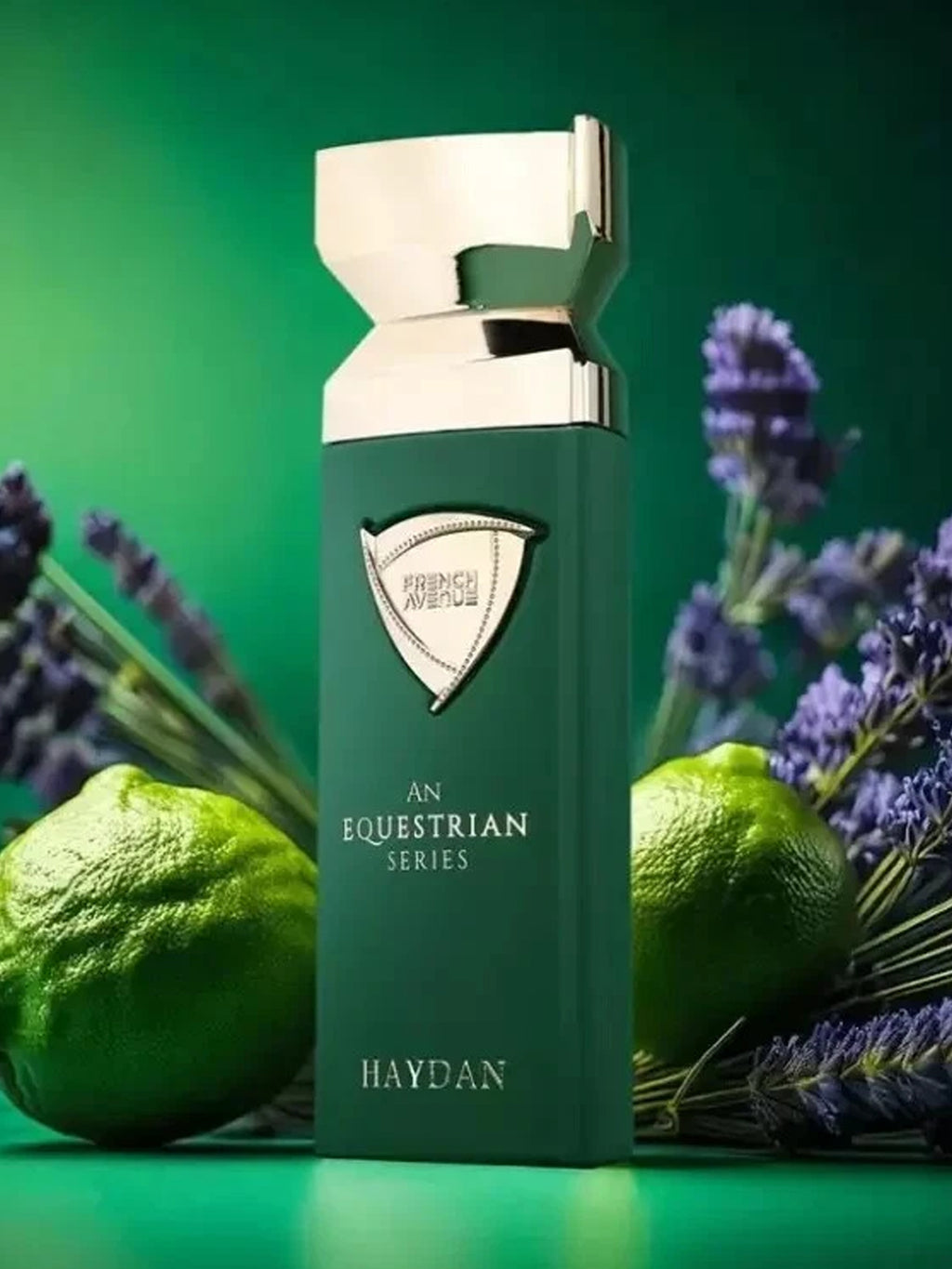 An Equestrian Series Haydan